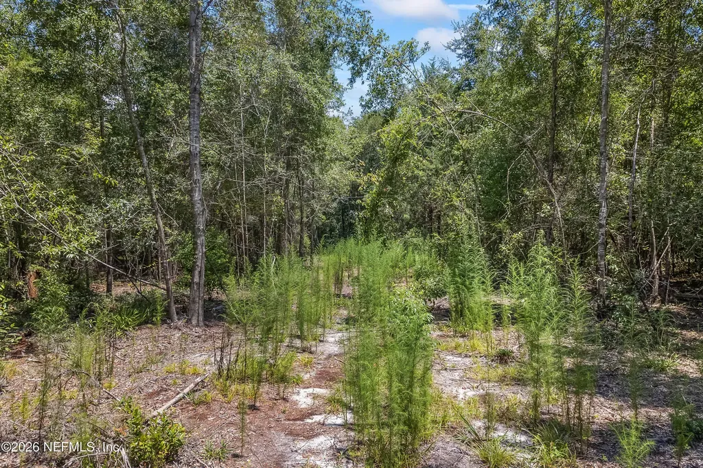 2005 County Road 16 Green Cove Springs FL 32043