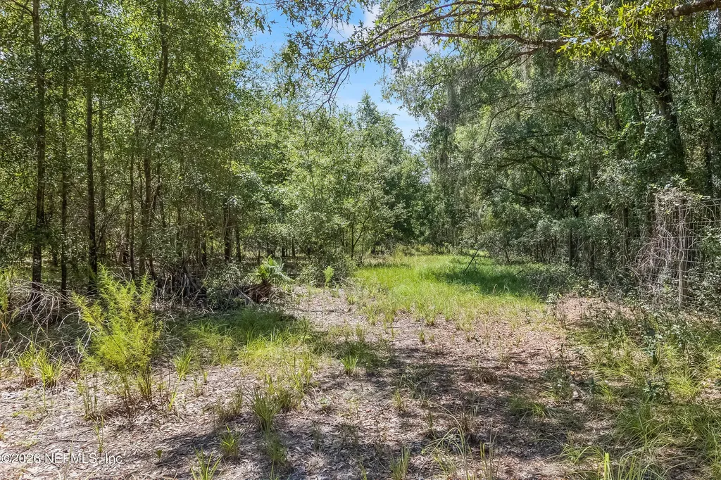 2005 County Road 16 Green Cove Springs FL 32043