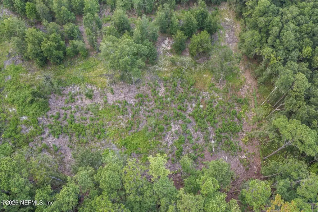 2005 County Road 16 Green Cove Springs FL 32043