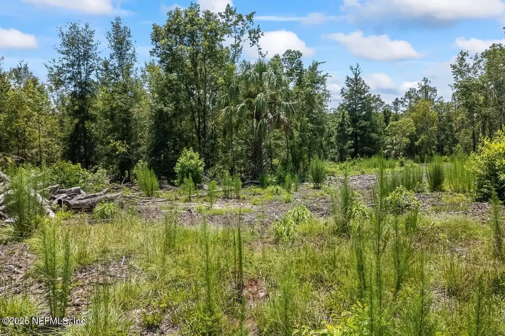 2005 County Road 16 Green Cove Springs FL 32043