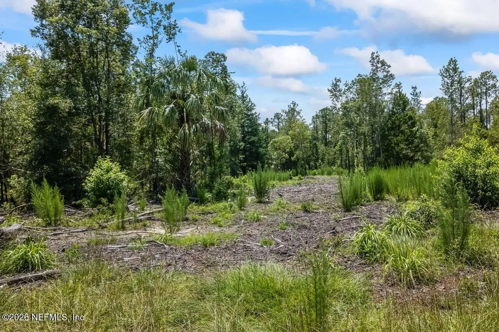 2005 County Road 16 Green Cove Springs FL 32043