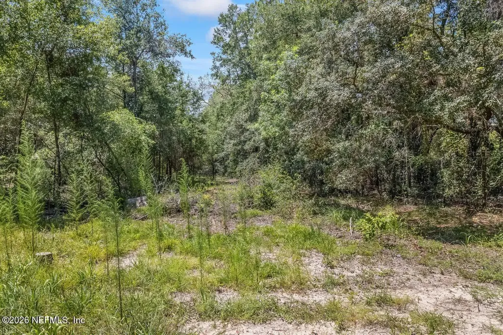 2005 County Road 16 Green Cove Springs FL 32043