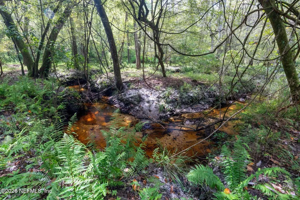2005 County Road 16 Green Cove Springs FL 32043