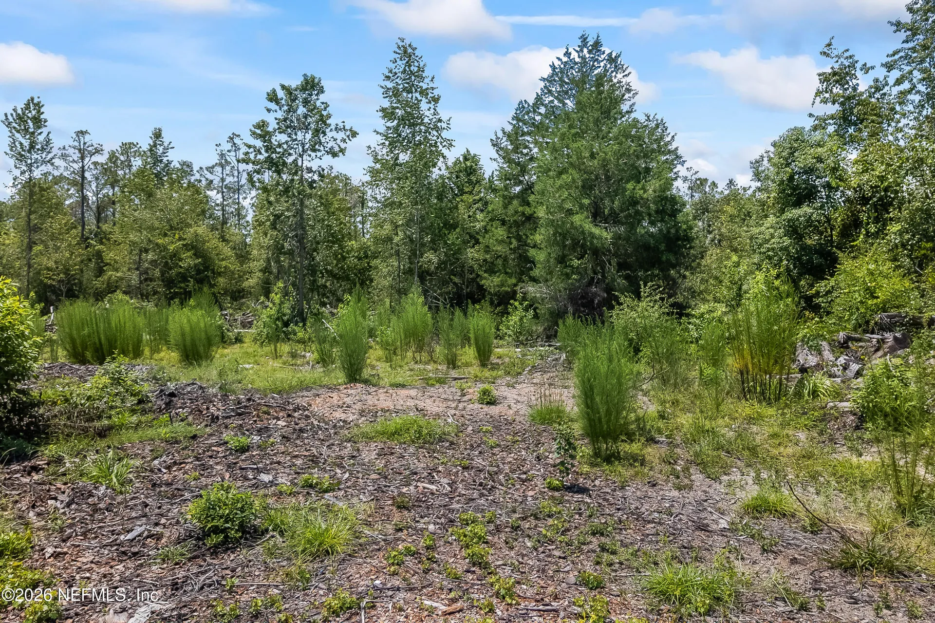 2005 County Road 16 Green Cove Springs FL 32043