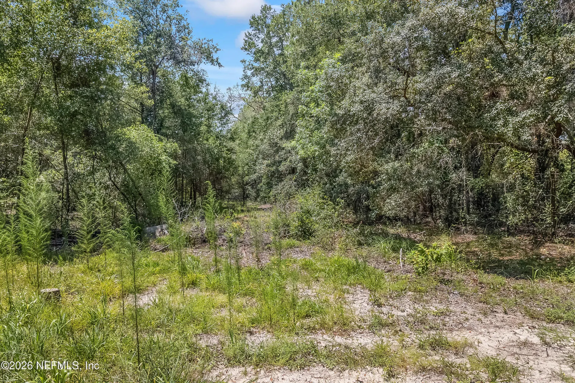 2005 County Road 16 Green Cove Springs FL 32043