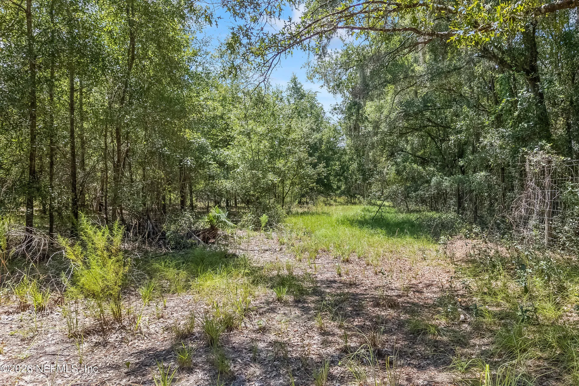 2005 County Road 16 Green Cove Springs FL 32043