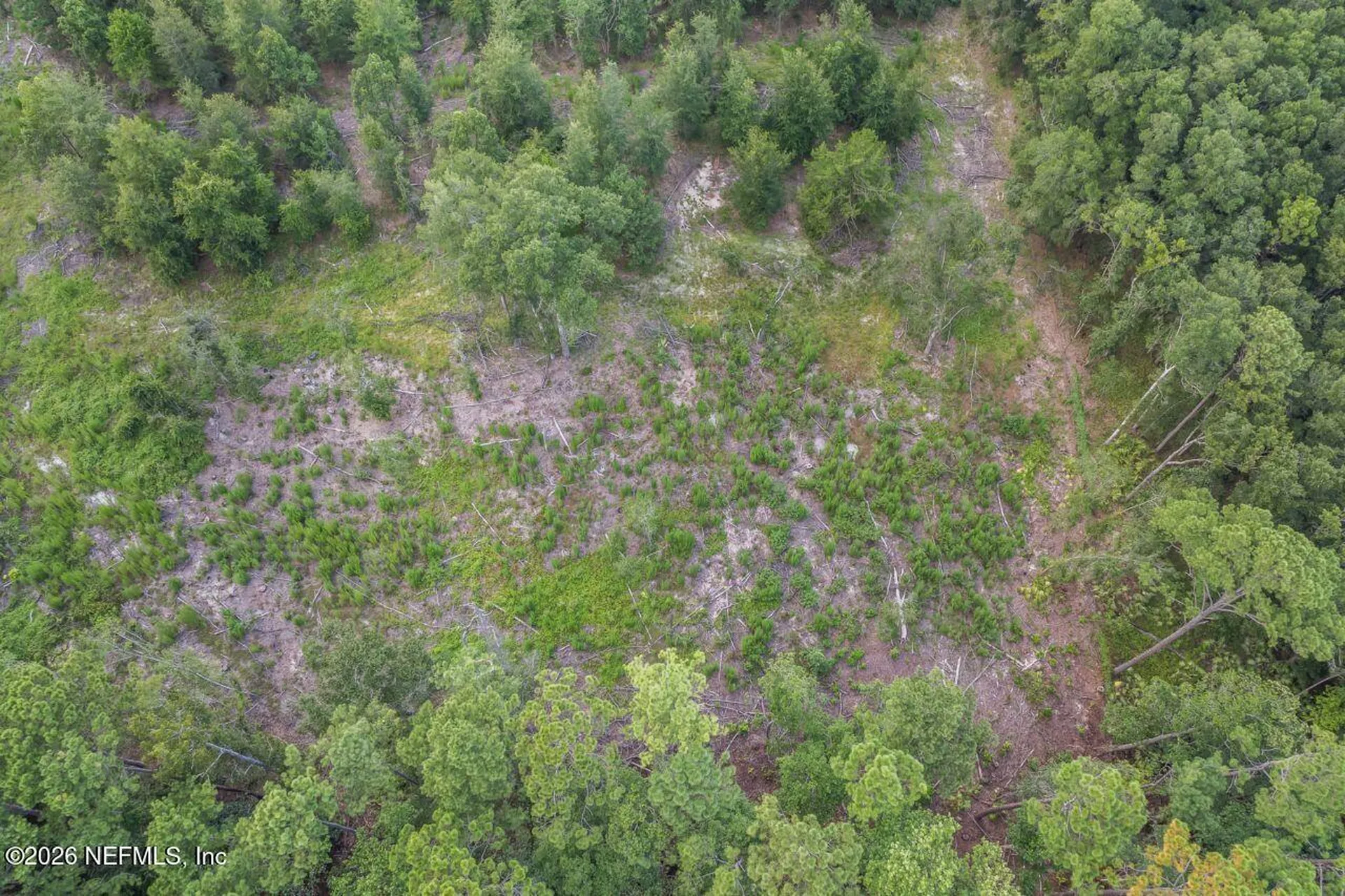 2005 County Road 16 Green Cove Springs FL 32043