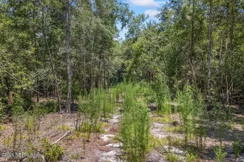 2005 County Road 16 Green Cove Springs FL 32043