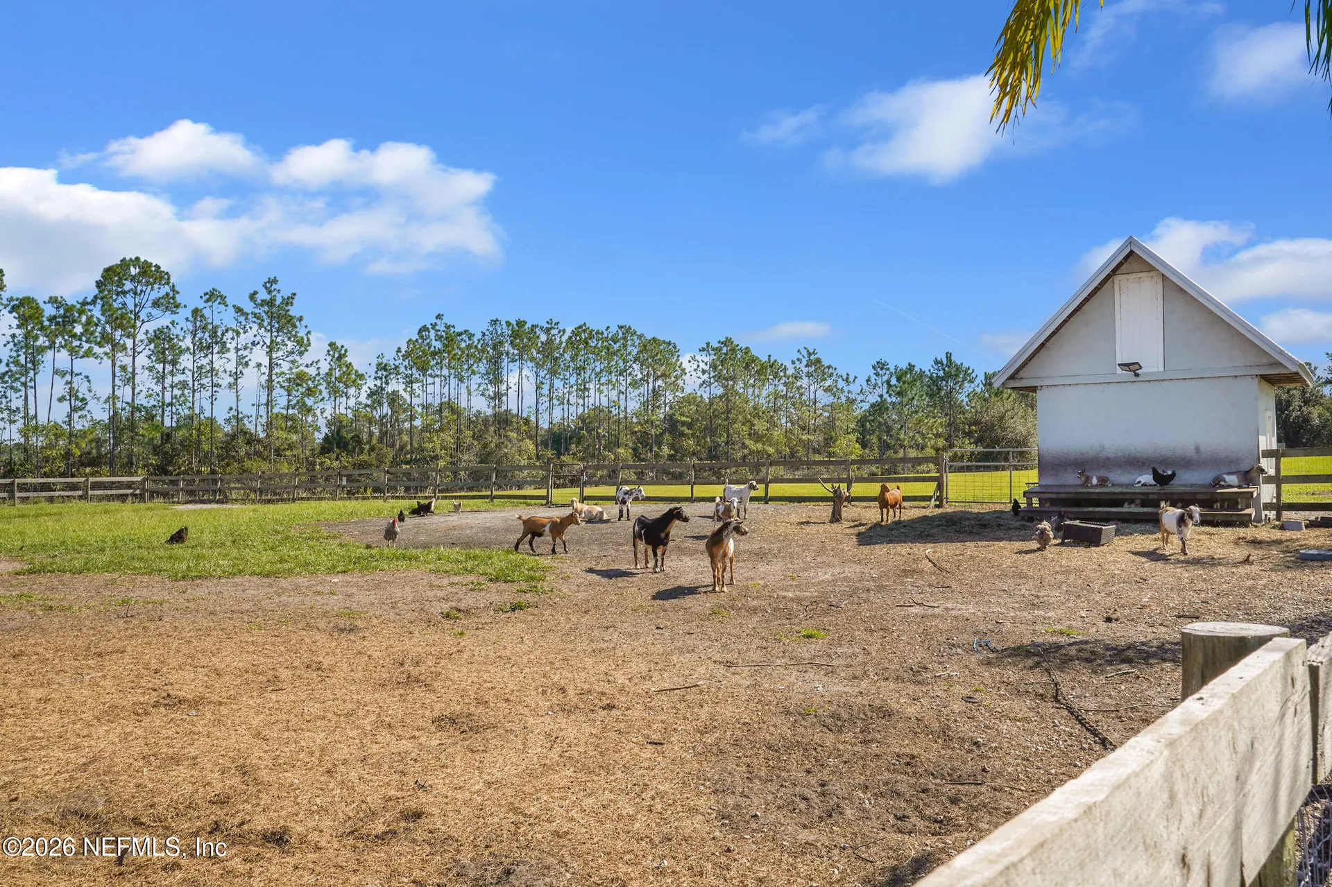 11160 Us Highway 1 N Palm Coast FL 32137