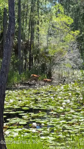 24 Oakhurst Court St. Augustine FL 32092