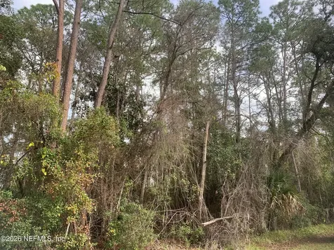 0 Undisclosed San Jose Avenue East Palatka FL 32131