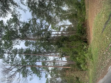 0 Undisclosed San Jose Avenue East Palatka FL 32131