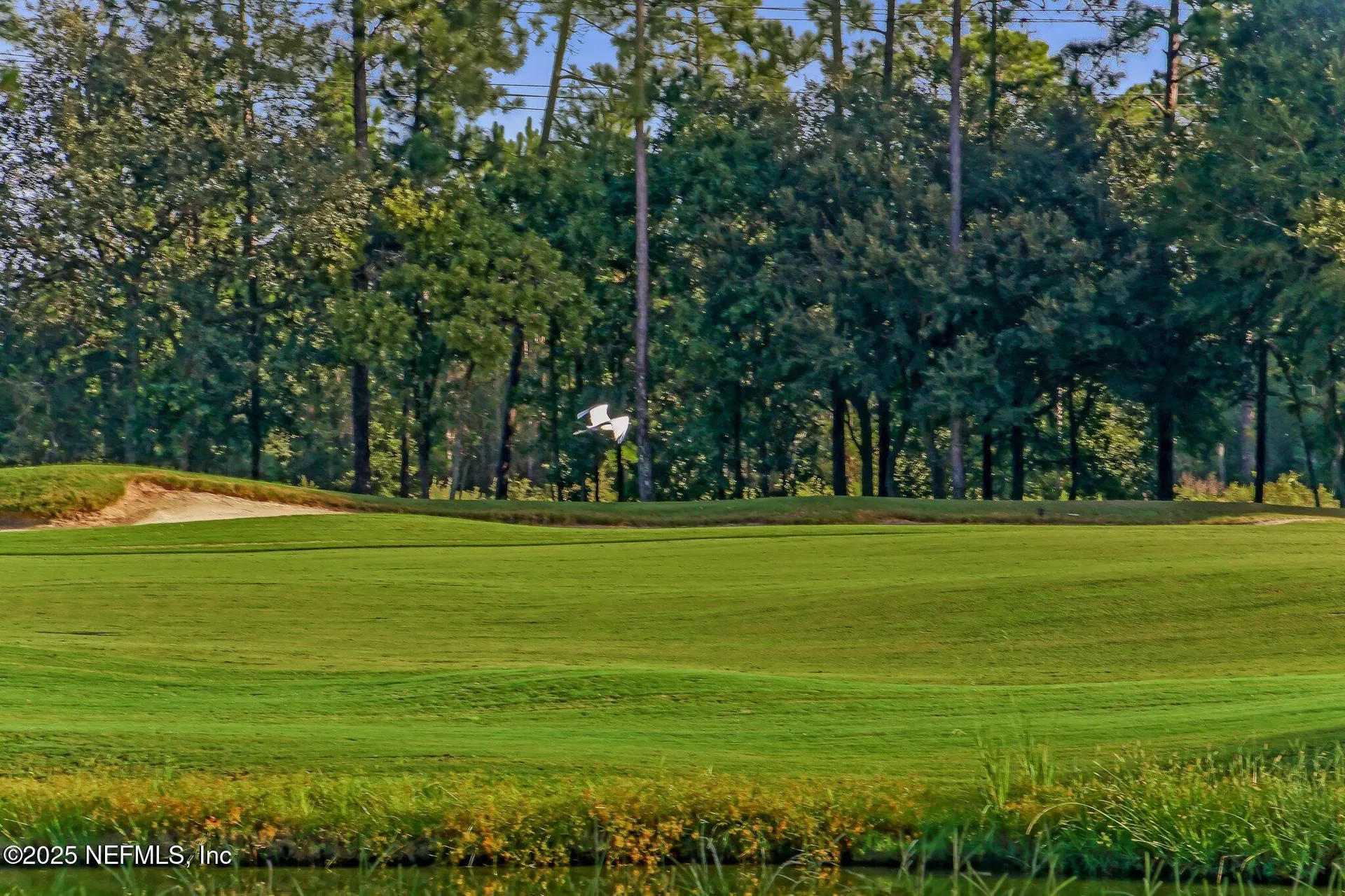 95033 Bermuda Drive Fernandina Beach FL 32034