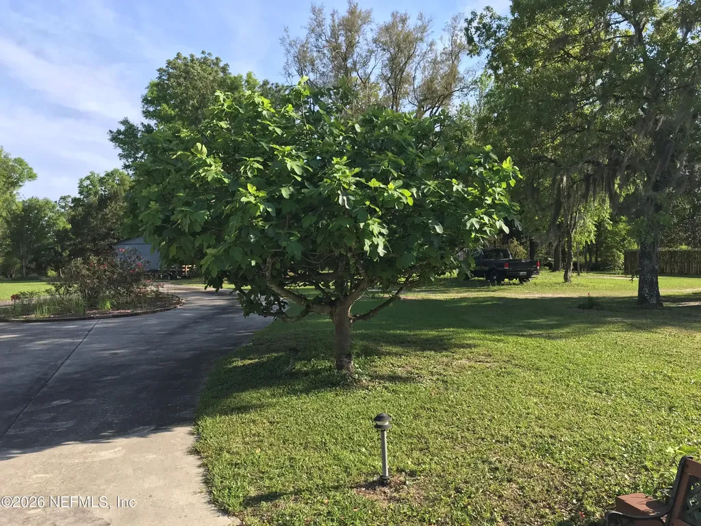 268 Wesley Road Green Cove Springs FL 32043