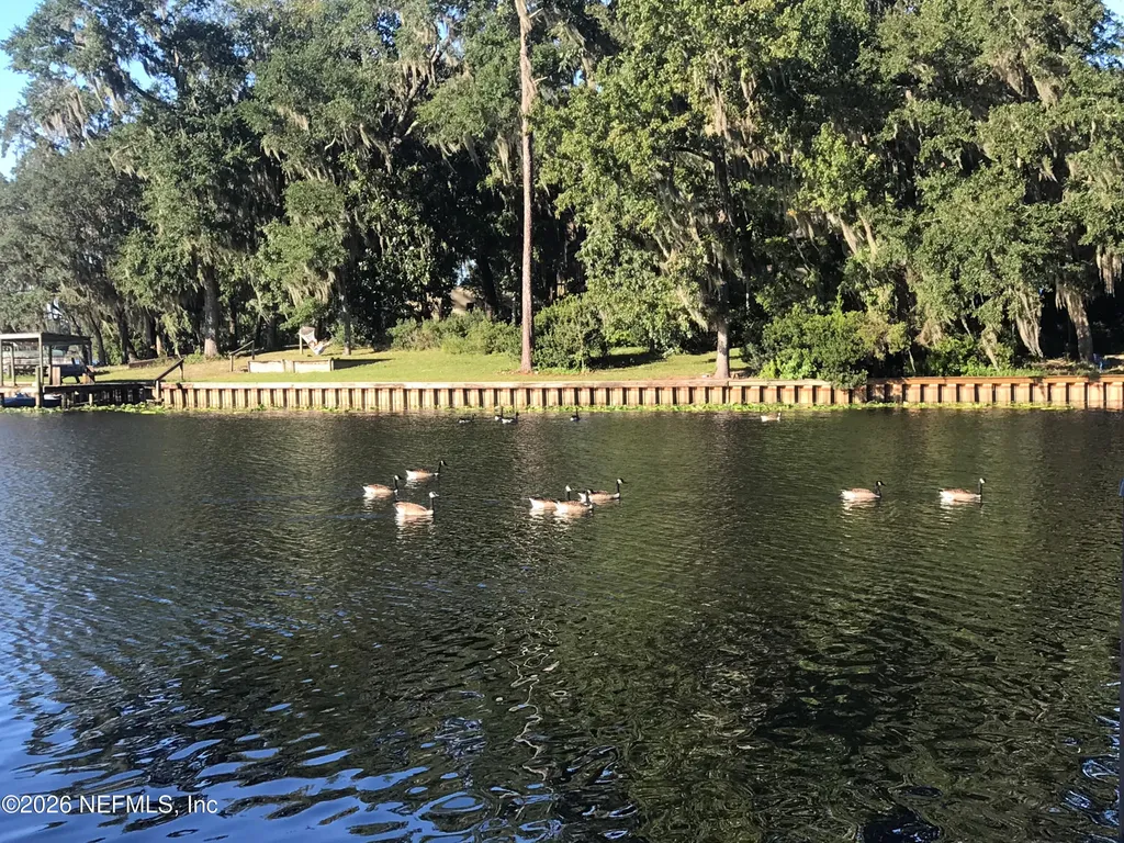 268 Wesley Road Green Cove Springs FL 32043