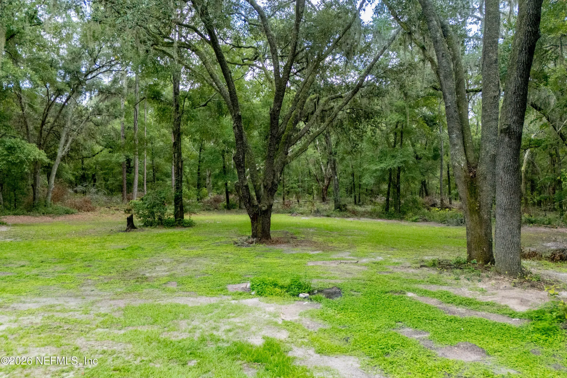 14545 SW 155th Avenue Brooker FL 32622