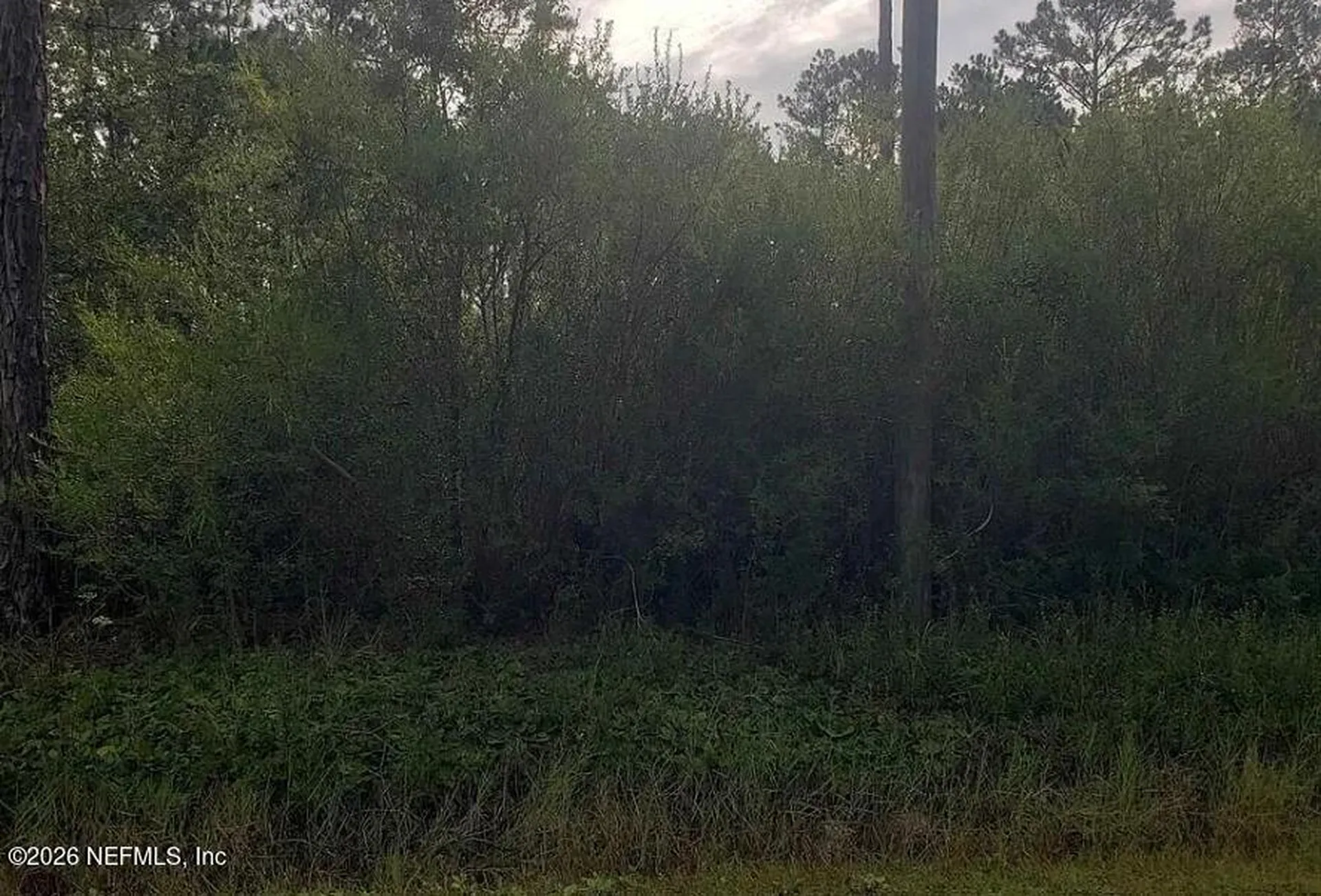 9720 Dillon Avenue Hastings FL 32145