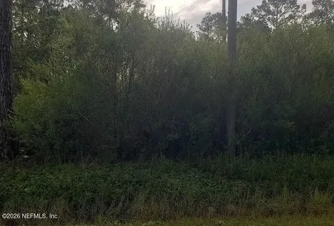9720 Dillon Avenue Hastings FL 32145