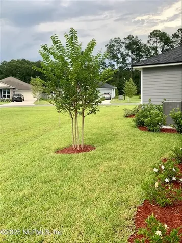 1694 Lewis Lake Lane Middleburg FL 32068