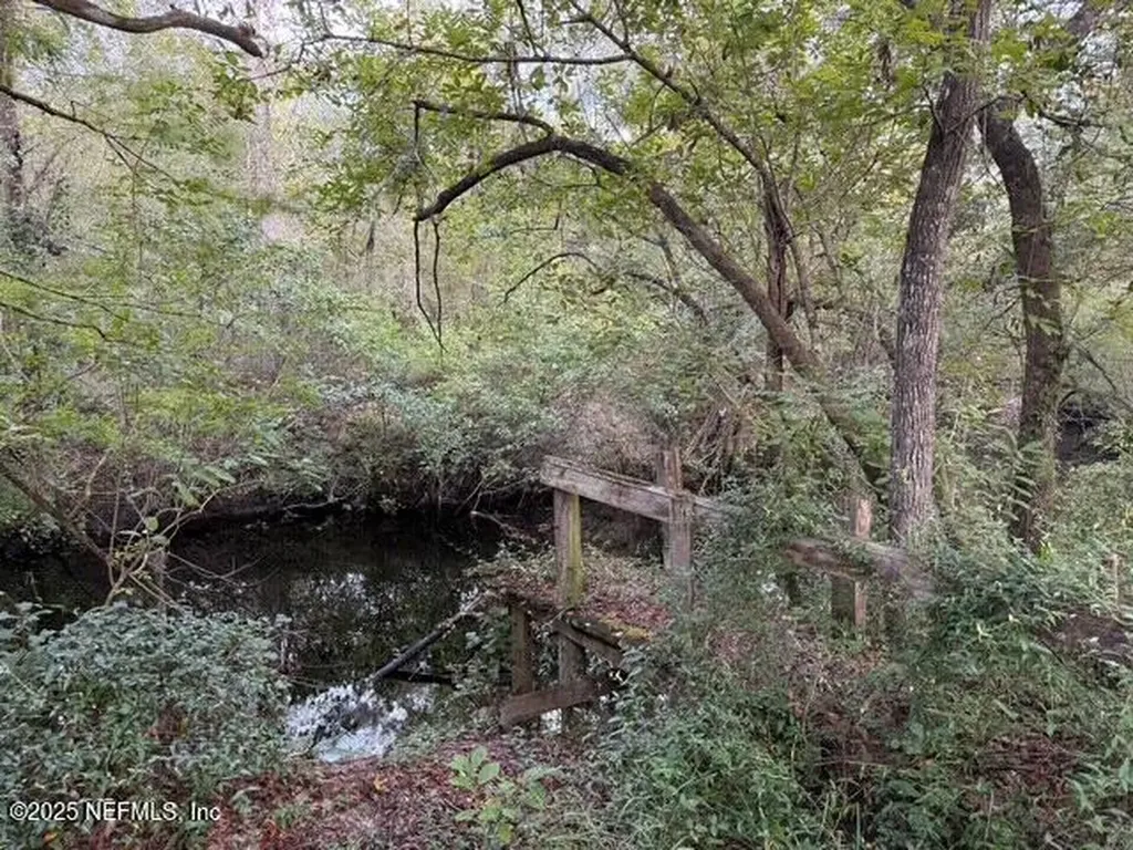 0 Skipper Road Middleburg FL 32068