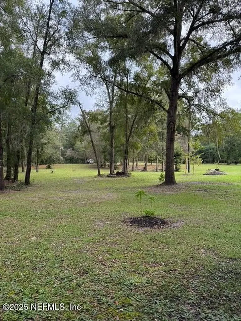 0 Skipper Road Middleburg FL 32068