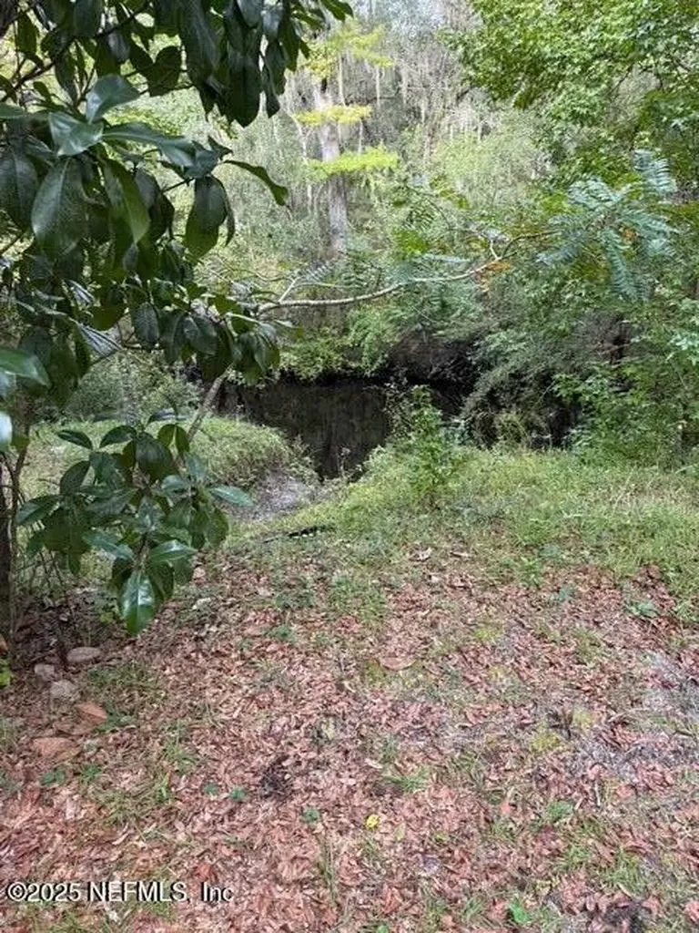 0 Skipper Road Middleburg FL 32068