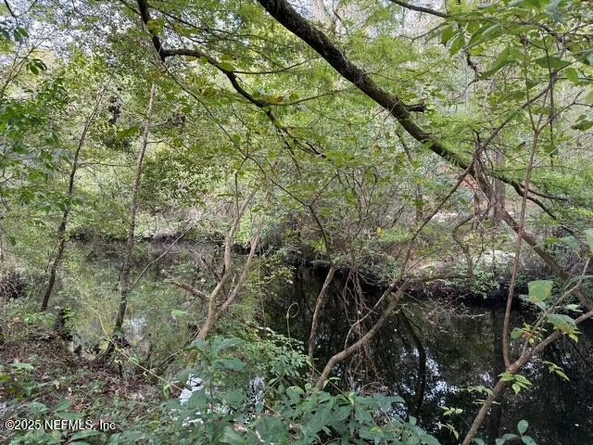 0 Skipper Road Middleburg FL 32068