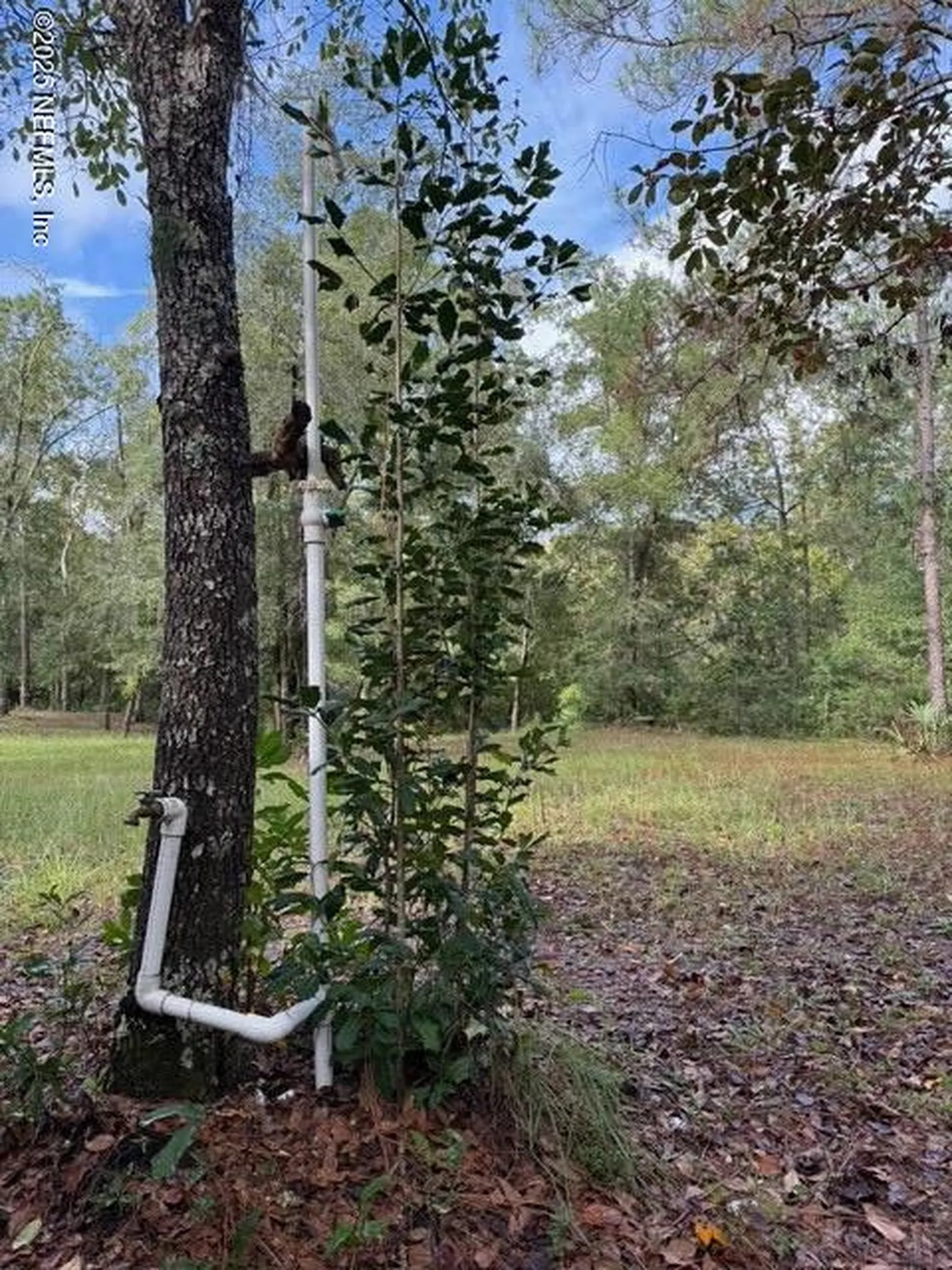 0 Skipper Road Middleburg FL 32068
