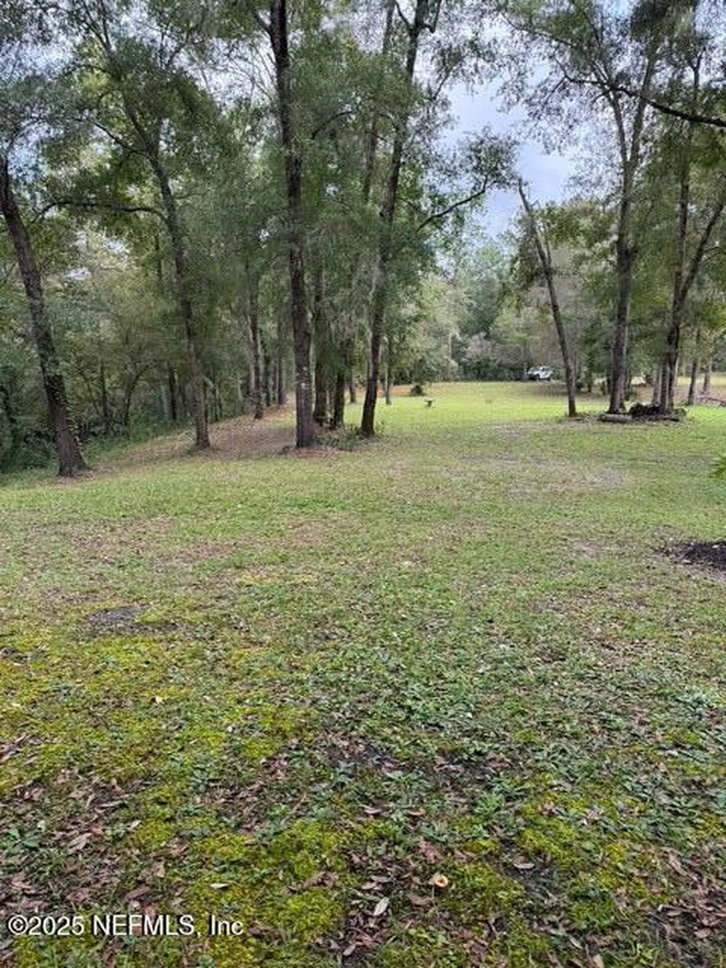 0 Skipper Road Middleburg FL 32068