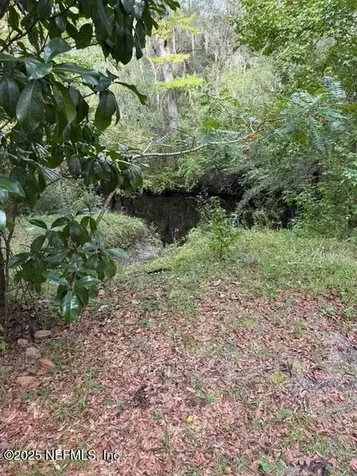 0 Skipper Road Middleburg FL 32068