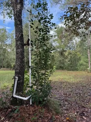 0 Skipper Road Middleburg FL 32068