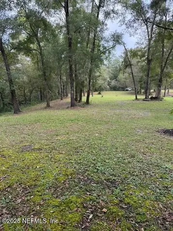 0 Skipper Road Middleburg FL 32068
