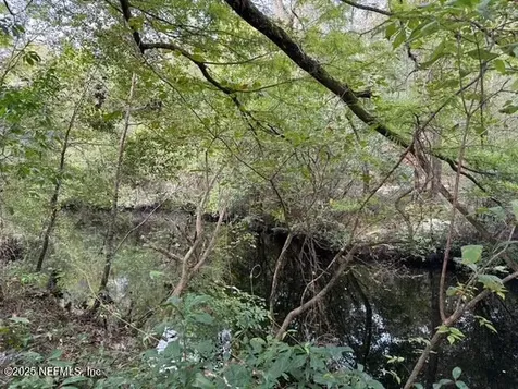 0 Skipper Road Middleburg FL 32068