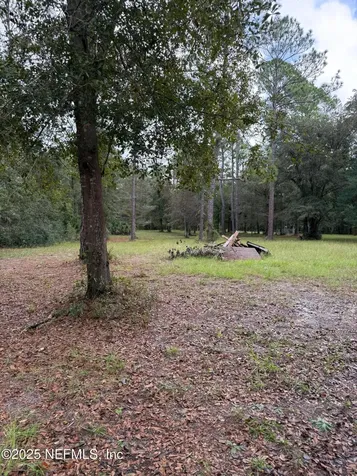 0 Skipper Road Middleburg FL 32068
