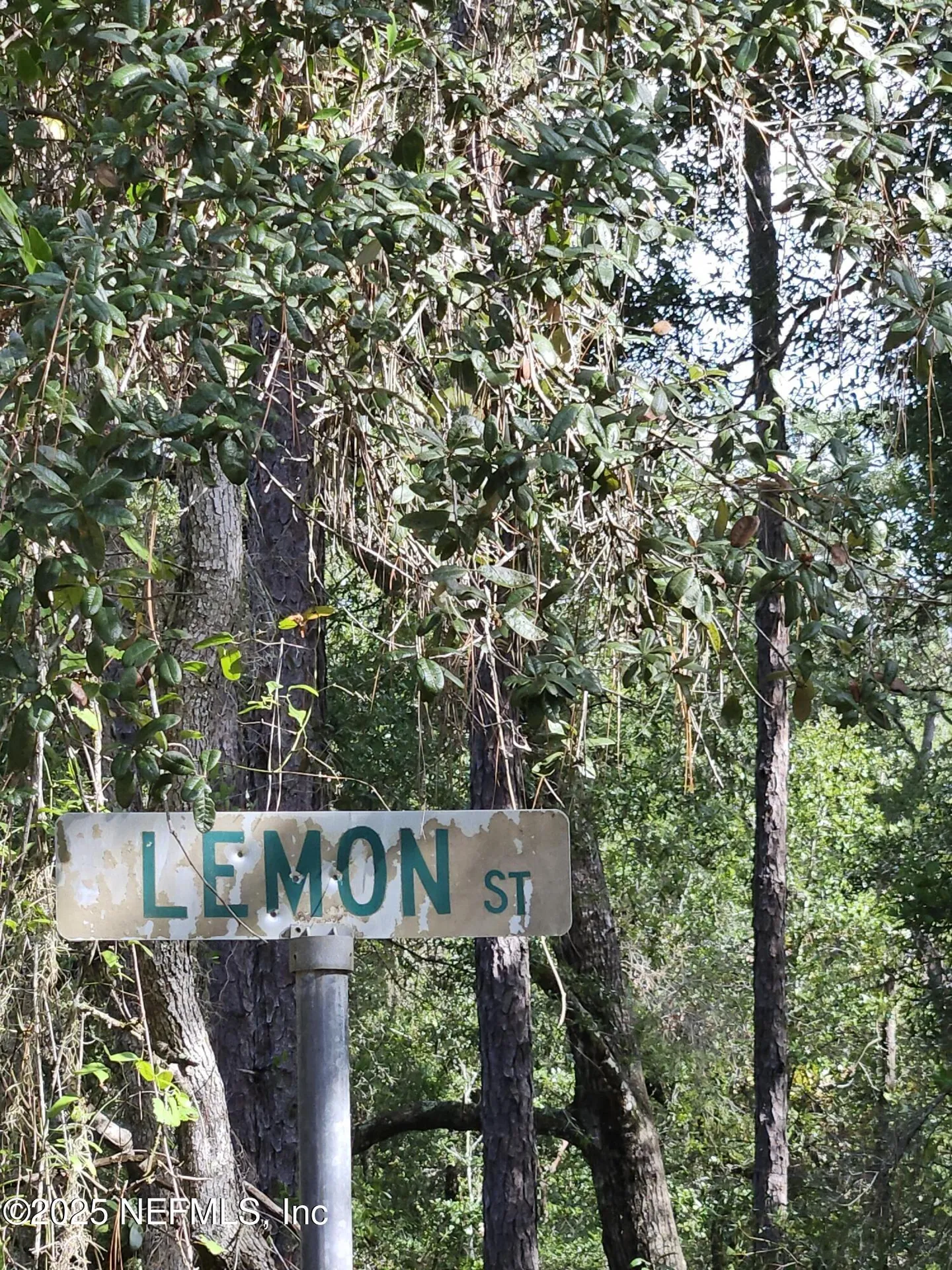 136 Lemon Street Pomona Park FL 32181