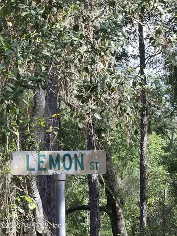 136 Lemon Street Pomona Park FL 32181