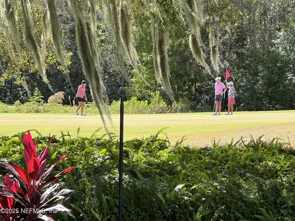 1853 Inlet Cove Court Fleming Island FL 32003