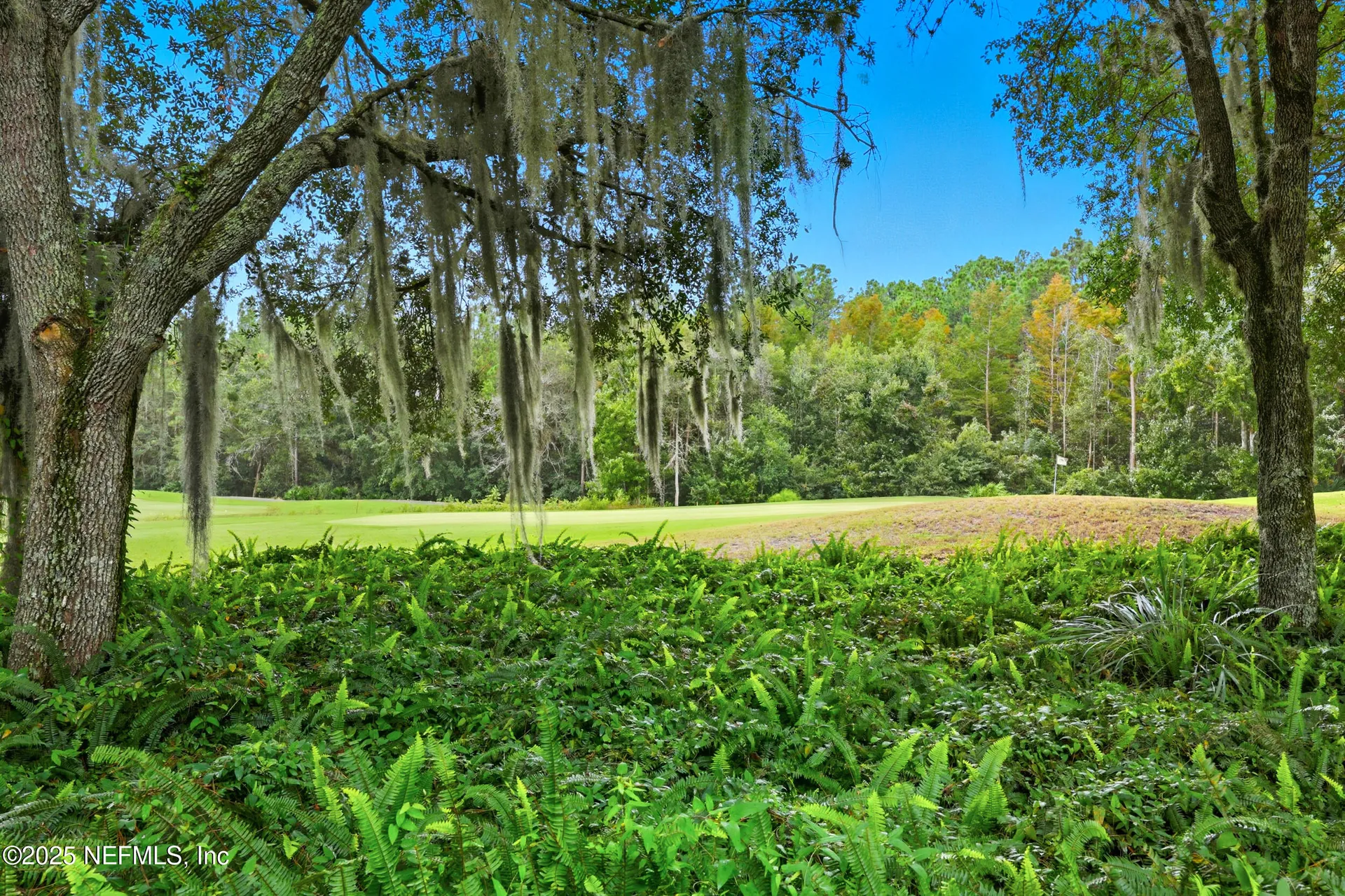 1853 Inlet Cove Court Fleming Island FL 32003