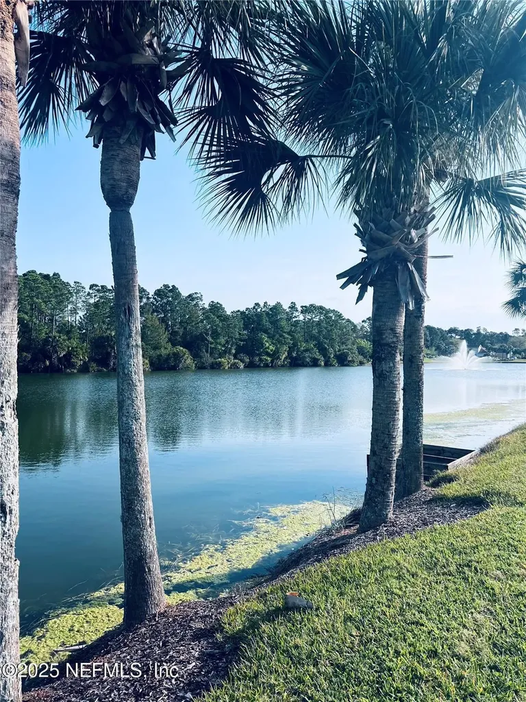 91 Emerald Lake Drive Palm Coast FL 32137