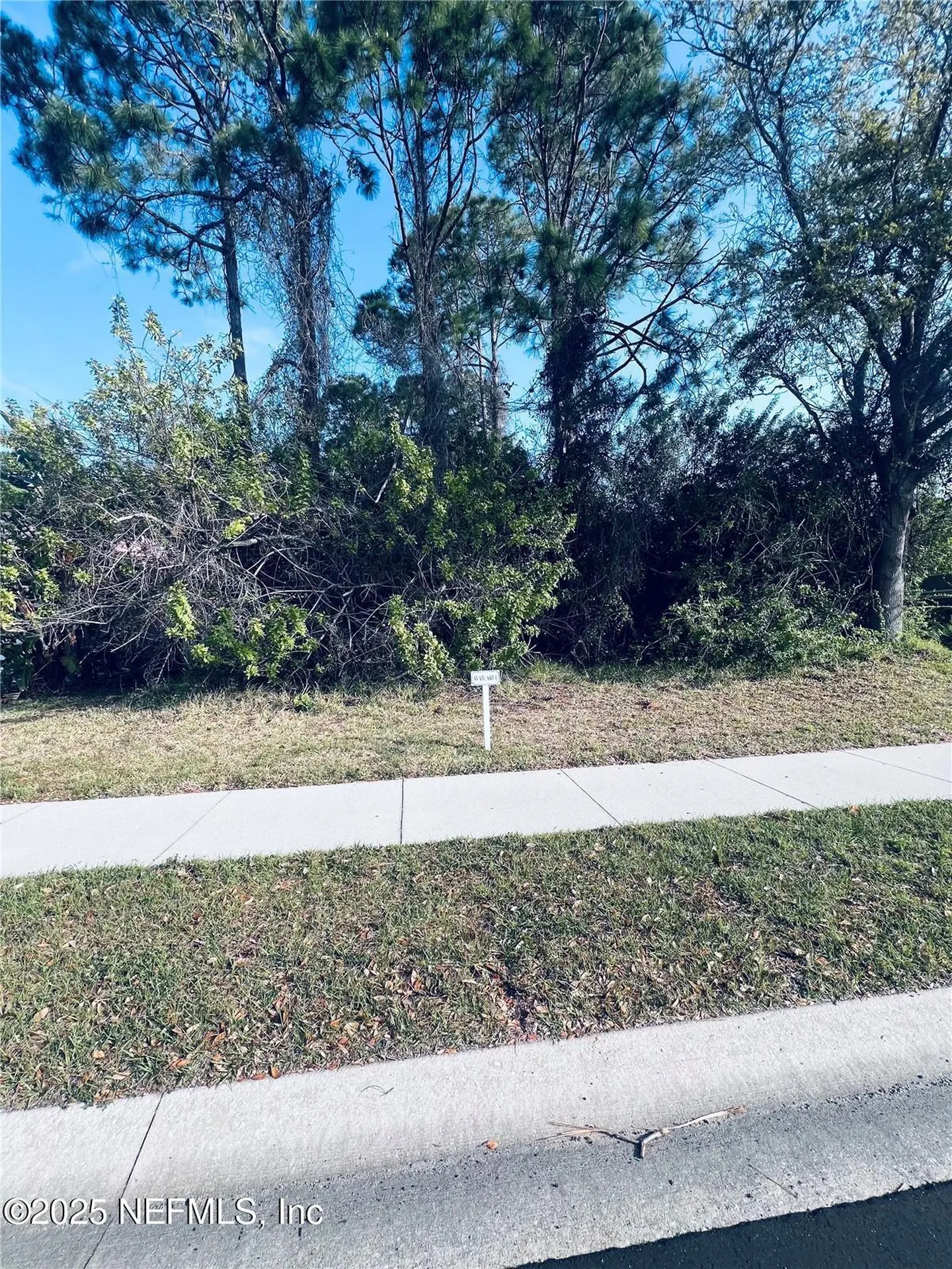 91 Emerald Lake Drive Palm Coast FL 32137