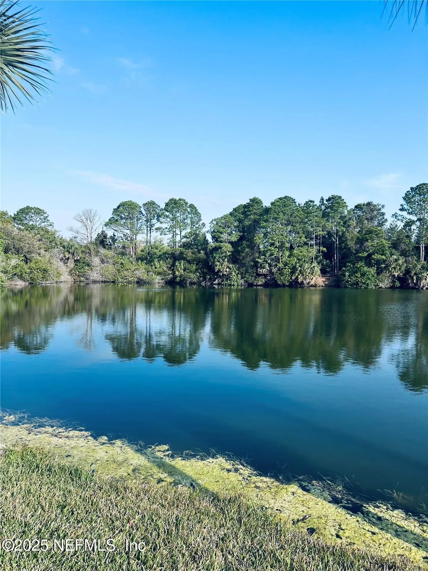 91 Emerald Lake Drive Palm Coast FL 32137