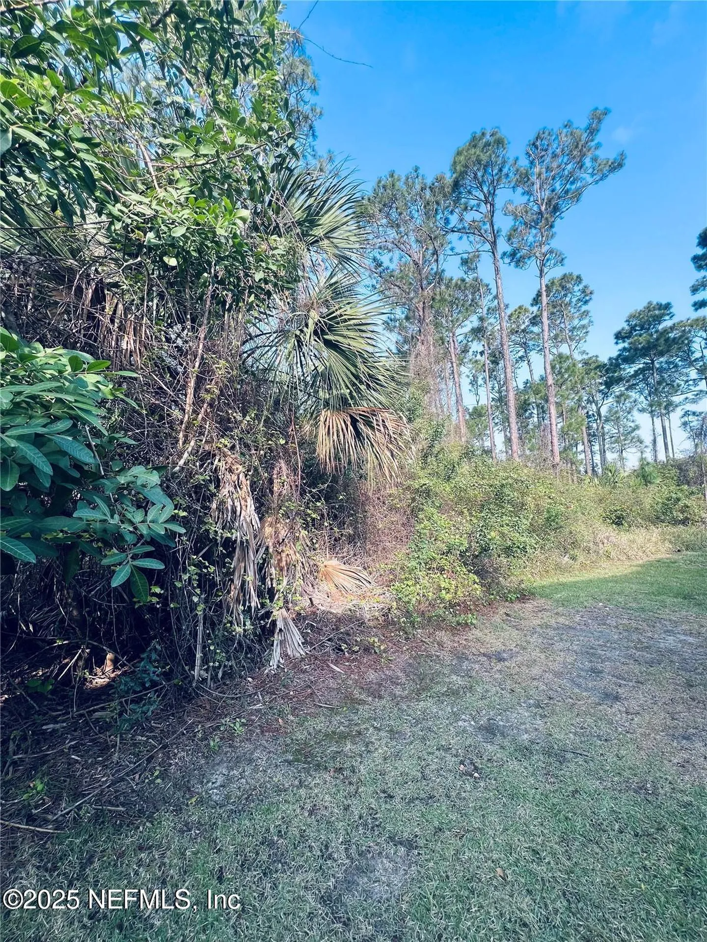 91 Emerald Lake Drive Palm Coast FL 32137