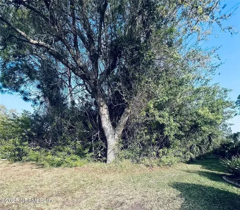 91 Emerald Lake Drive Palm Coast FL 32137