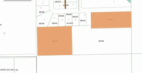 00 Mangrove Street Pomona Park FL 32181