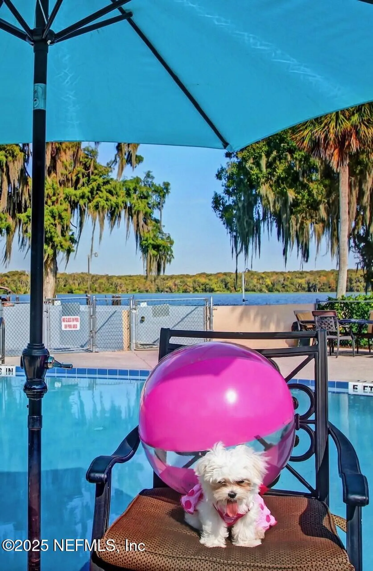 210 River Bend Place Welaka FL 32193