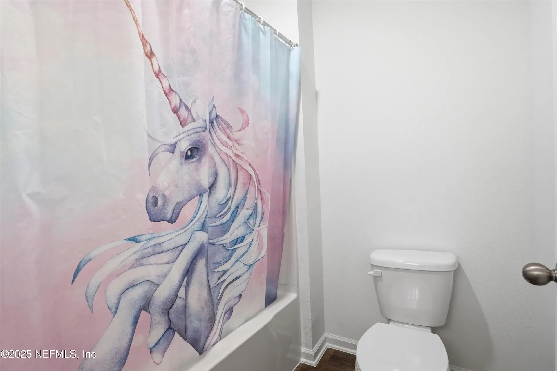 2381 Birch Pine Way Green Cove Springs FL 32043