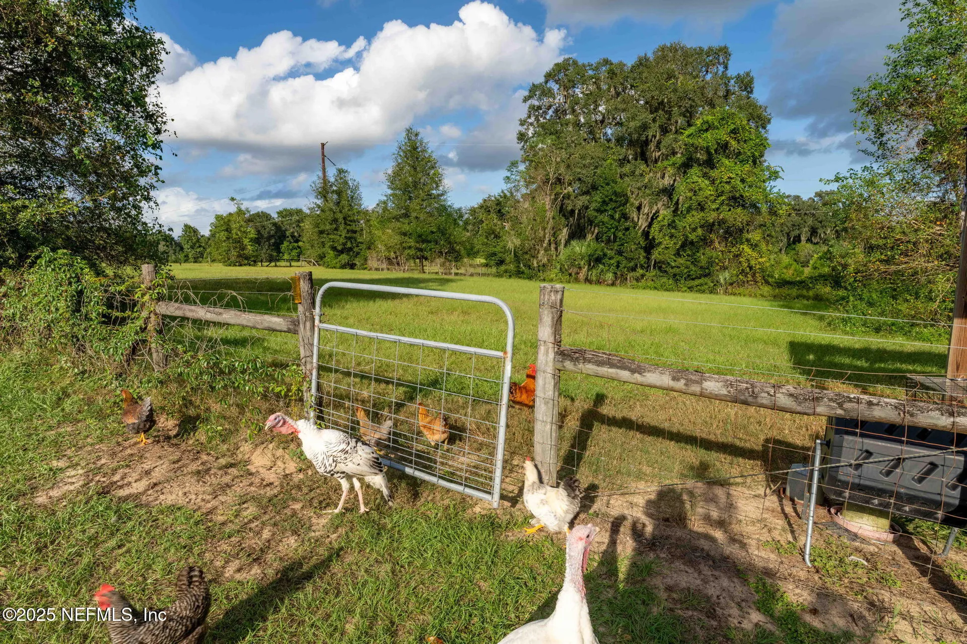 105 Dairy Road Melrose FL 32666