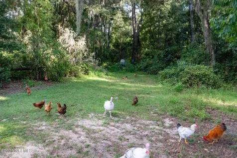 105 Dairy Road Melrose FL 32666