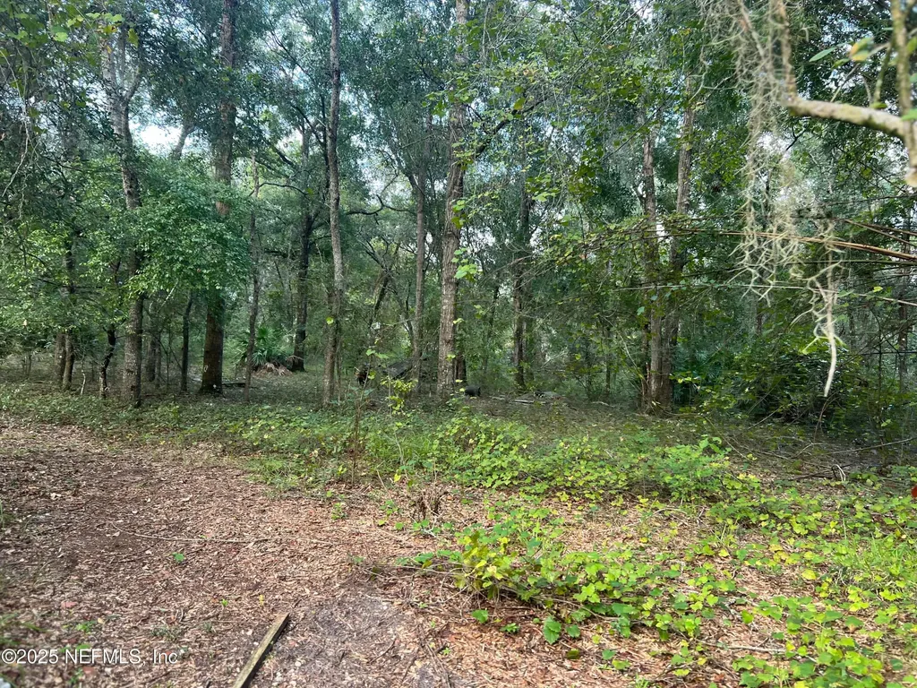 126 Willow Lane Hawthorne FL 32640