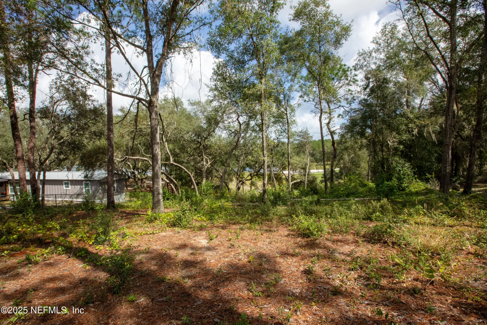6956 Deer Springs Road Keystone Heights FL 32656